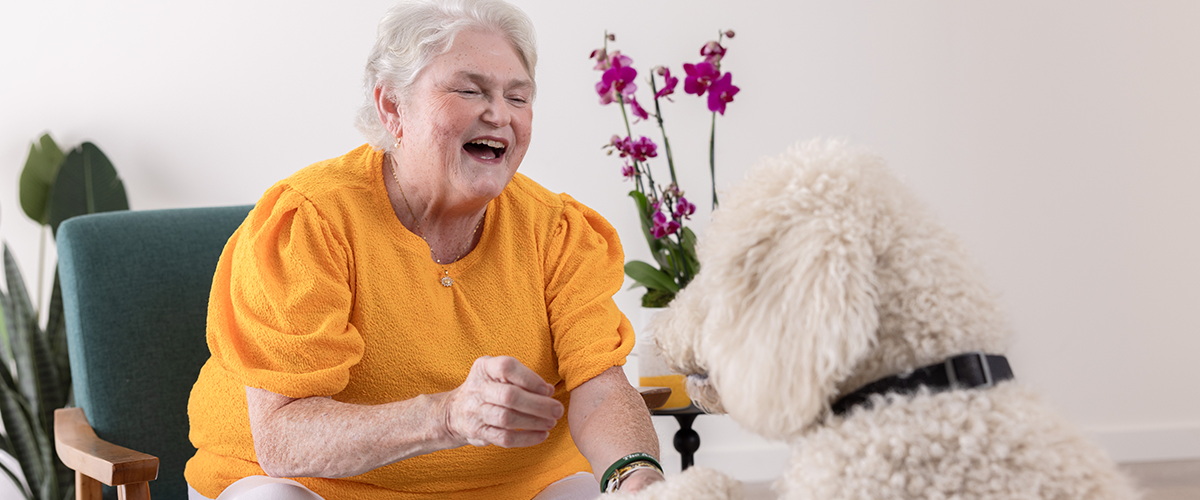 Woman playing with a dog, sitting in a chair at home.